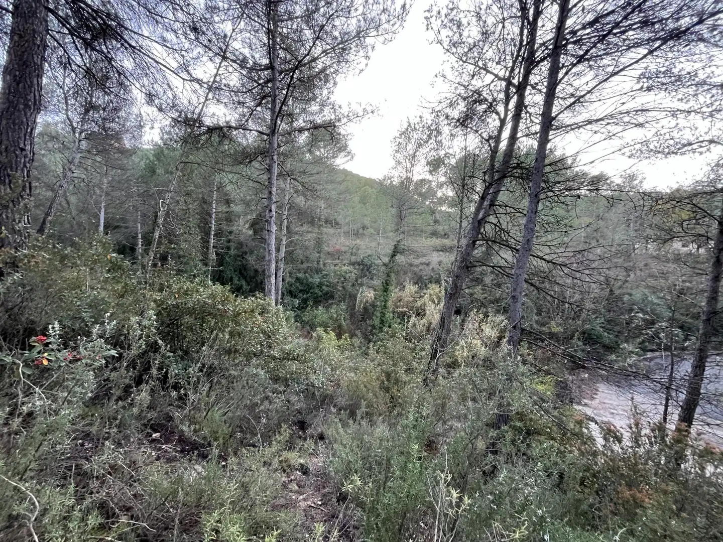 Wohnbaugrundstück zum Verkauf in de Can Prat 61, imagen 10