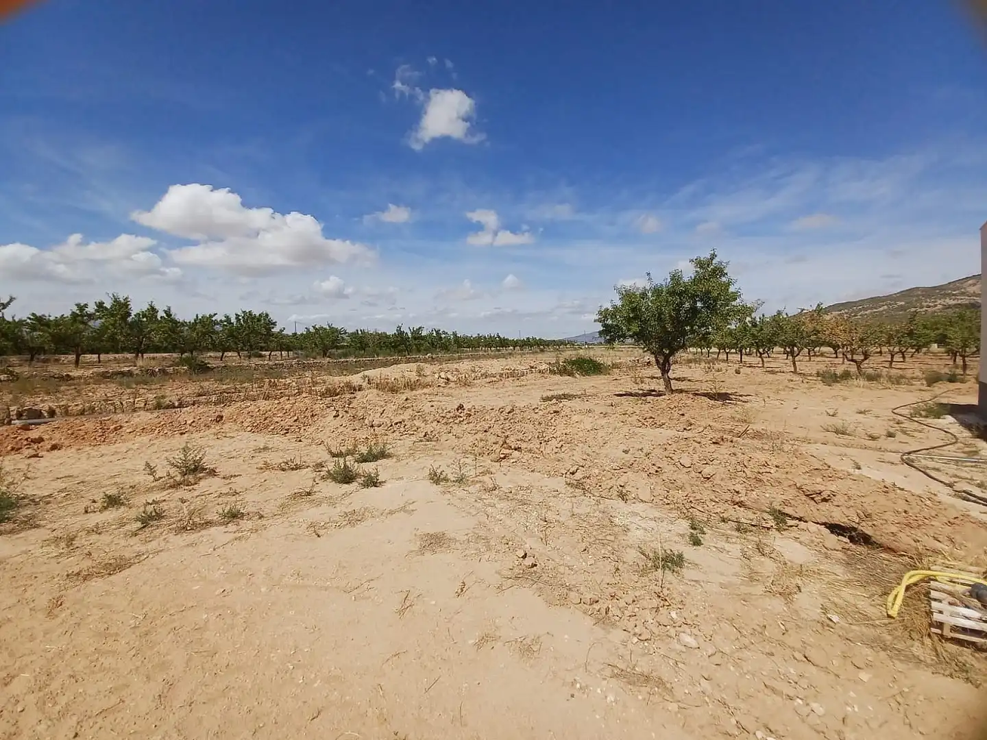 Villa à vendre à El Pinós / Pinoso, imagen 32