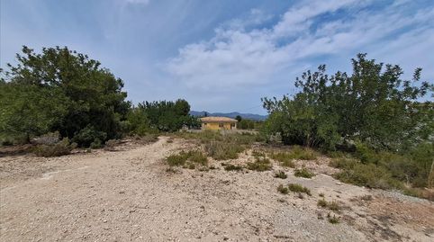 Foto 5 de Residencial en venta en Polígono, La Conarda - Montesano, Bétera