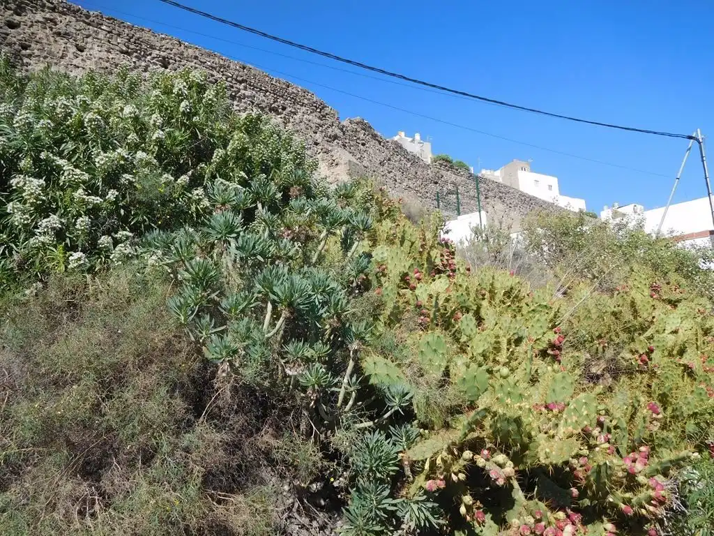 Terreno residencial en venta en GC-300, imagen 7