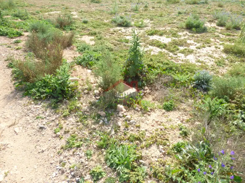 Residencial en venta en Elche / Elx