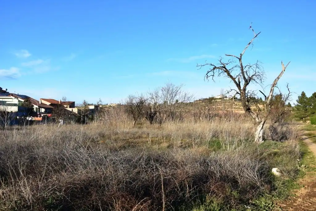 Terreni e lotti in vendita a Valderrobres, imagen 6