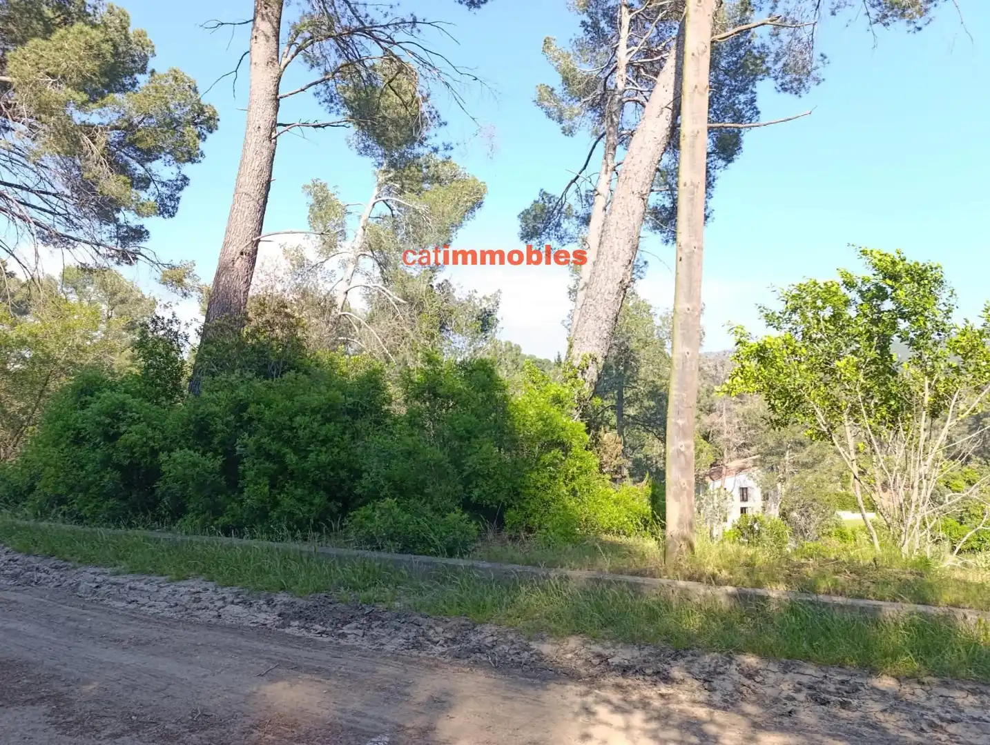 Terreny residencial en venda a Tossa, imagen 11