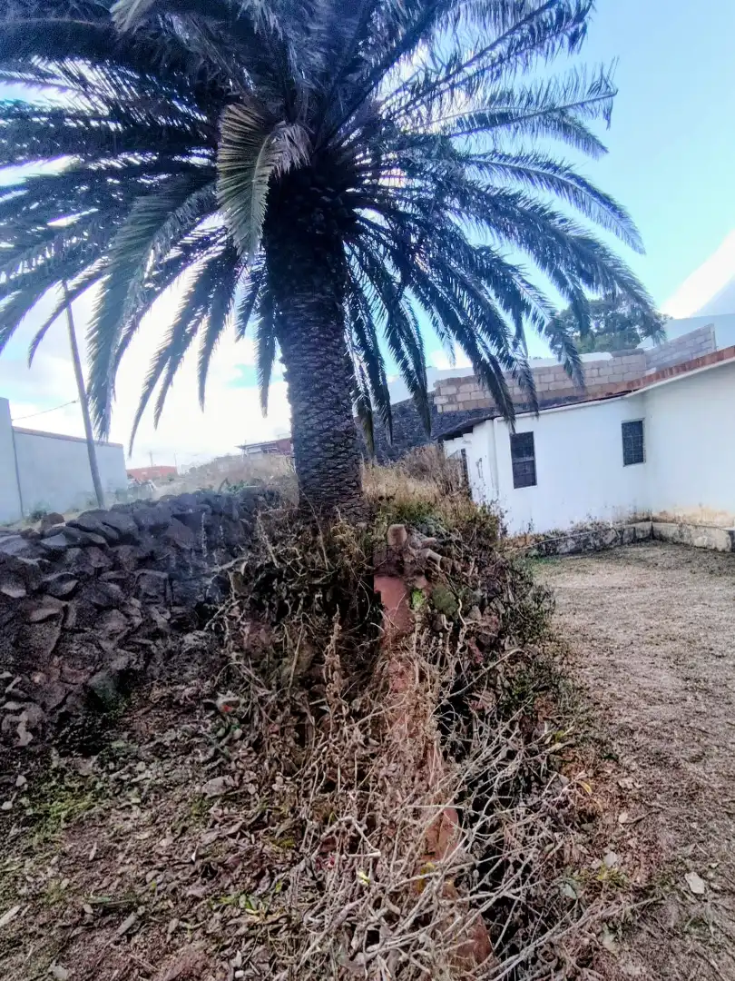 Finca rústica en venta en Santa Cruz de Tenerife con Jardín privado y Trastero