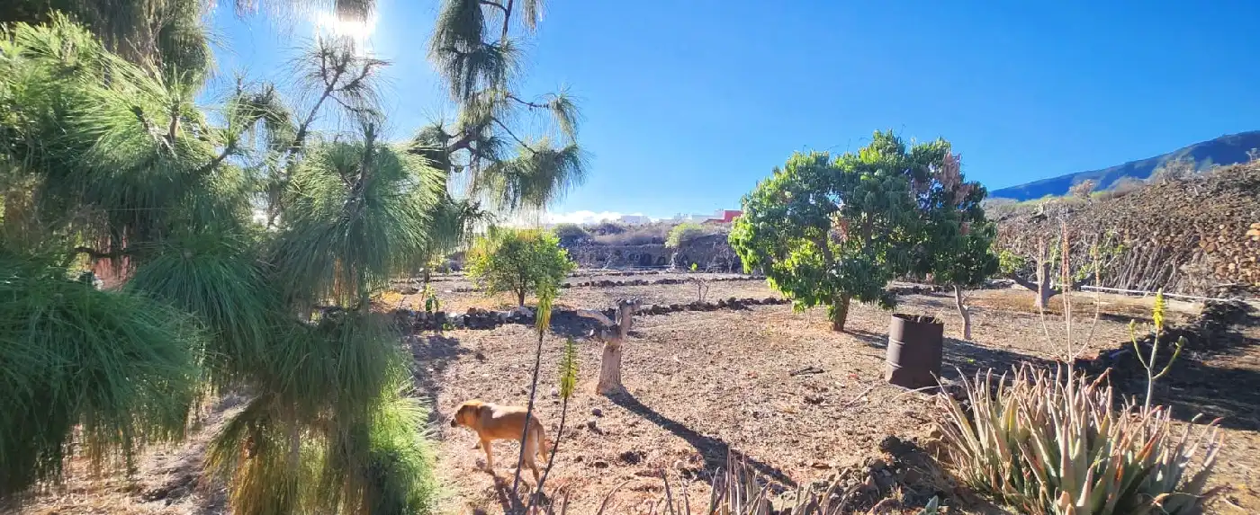 Vista exterior de Casa o xalet en venda en Arafo amb Jardí privat, Terrassa i Traster