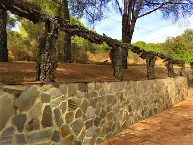 Country house for sale in Villaviciosa de Córdoba, imagen 25