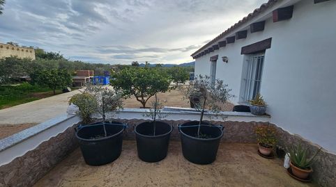 Foto 3 de Finca rústica en venta en La Pinilla - Las Palas, Fuente Álamo de Murcia