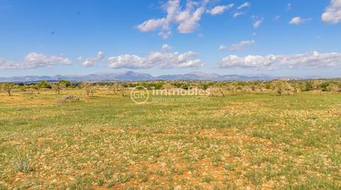 Photo 3 of House or chalet for sale in Poligono 4, Ariany, Illes Balears