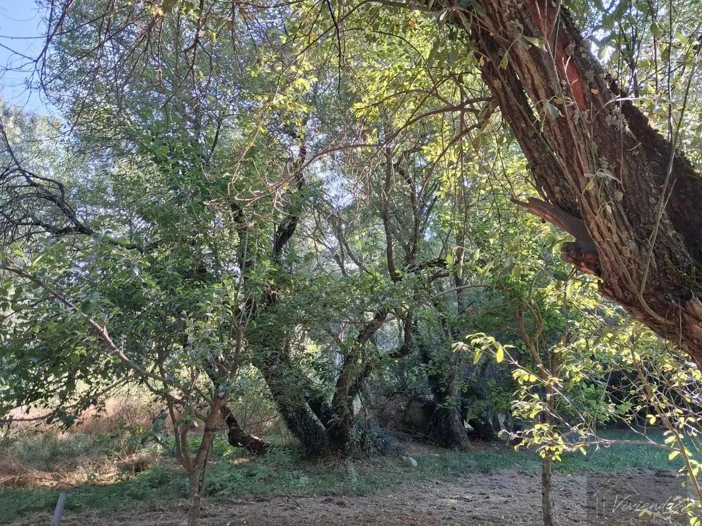 Vista exterior de Finca rústica en venta en Bustarviejo
