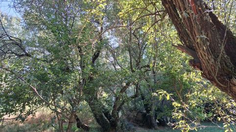 Photo 5 of Country homes for sale in Bustarviejo, Madrid