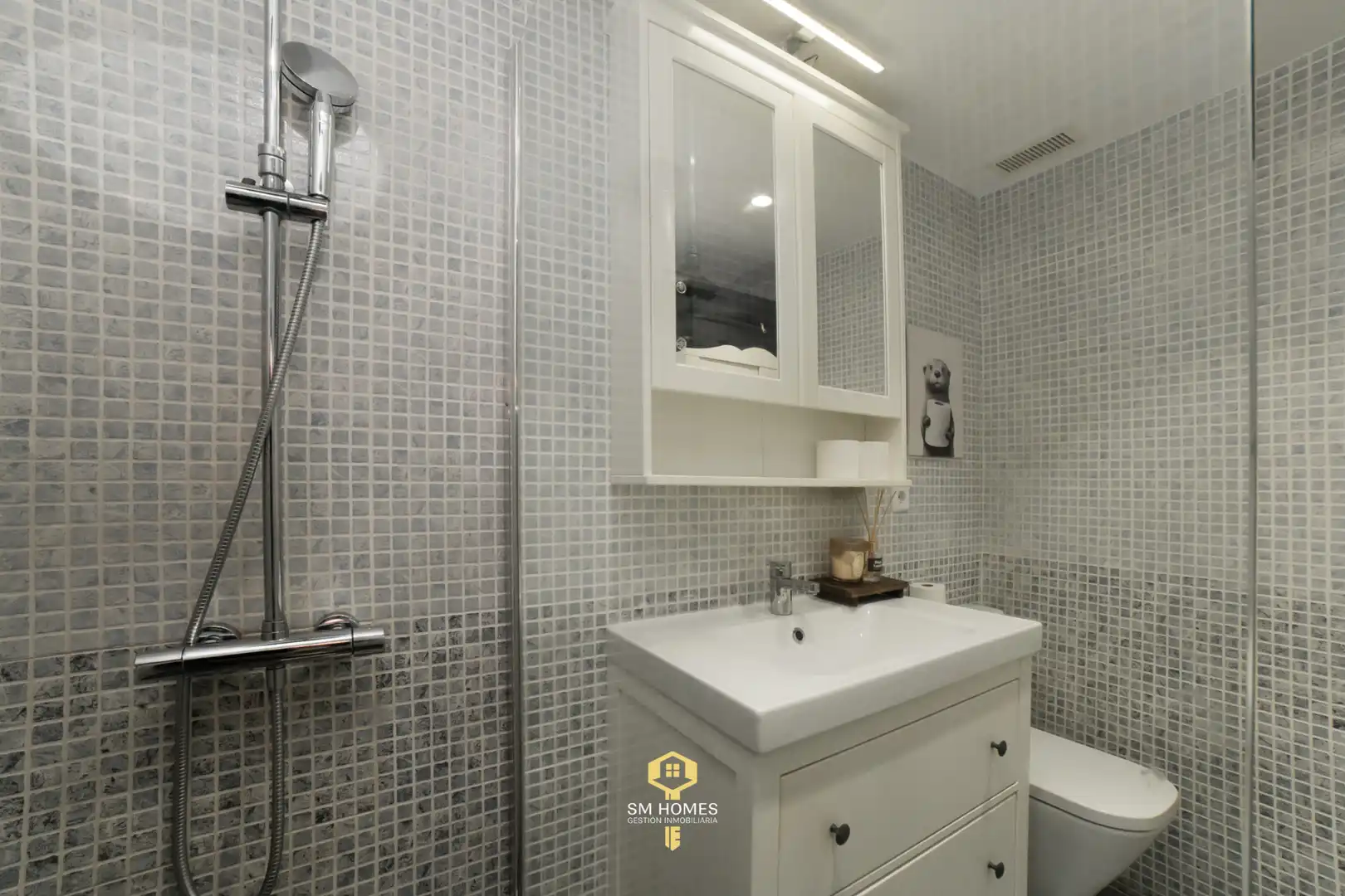 Bathroom of Study for sale in Madrid  with Air Conditioner, Heating and Furnished