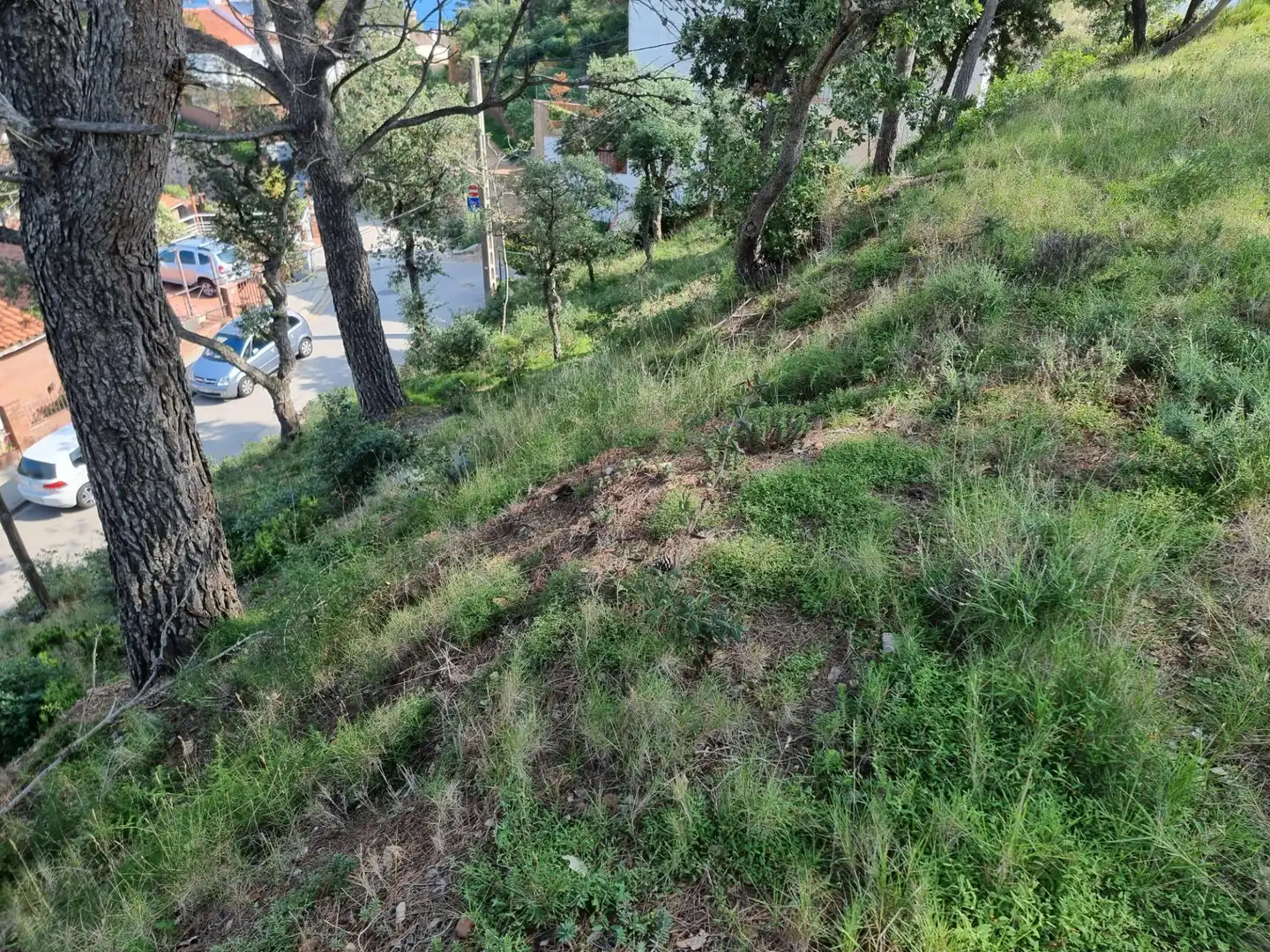 Grundstücke und Bauplätze zum Verkauf in Tossa de Mar pueblo, imagen 8