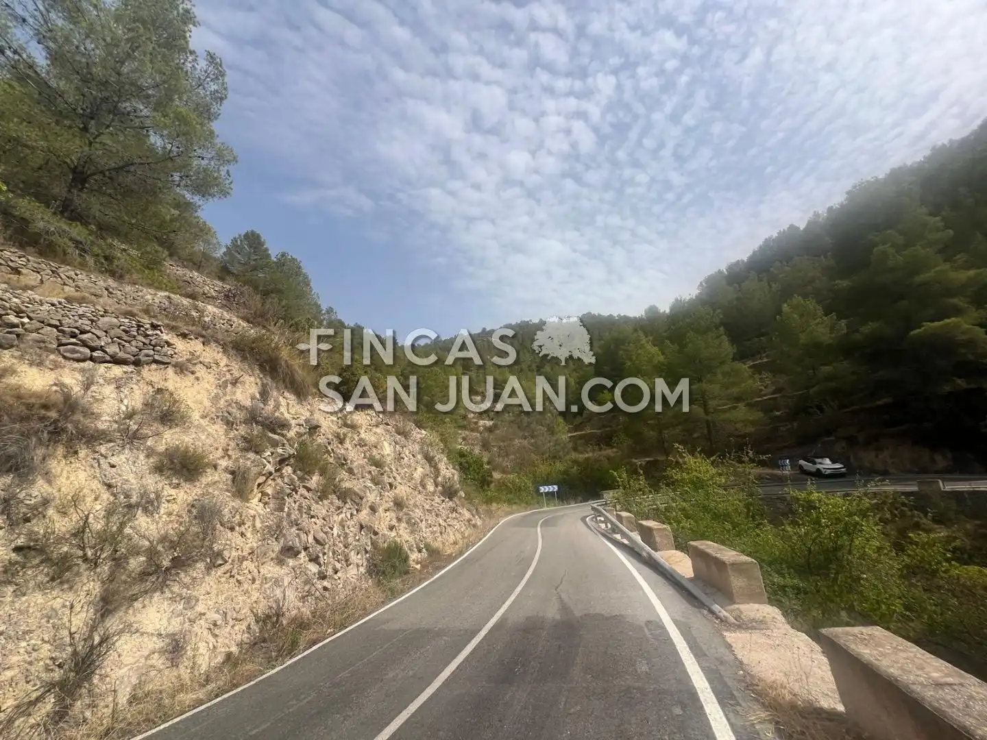 Finca rústica en venta en Relleu