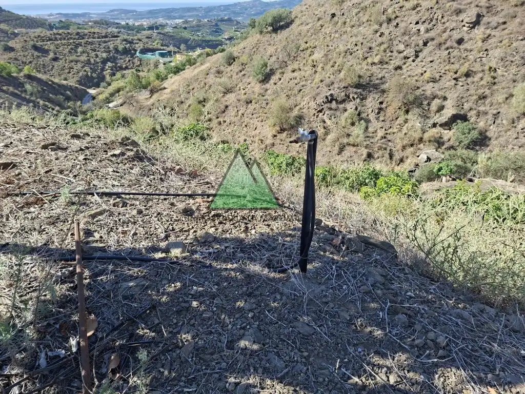 Vista exterior de Casa o xalet en venda en Vélez-Málaga