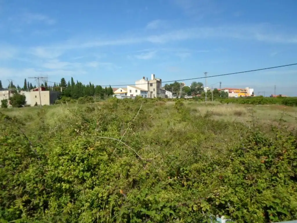Terreno residenziale in vendita a Algemesí