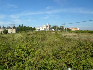 Terreno residenziale in vendita a Algemesí
