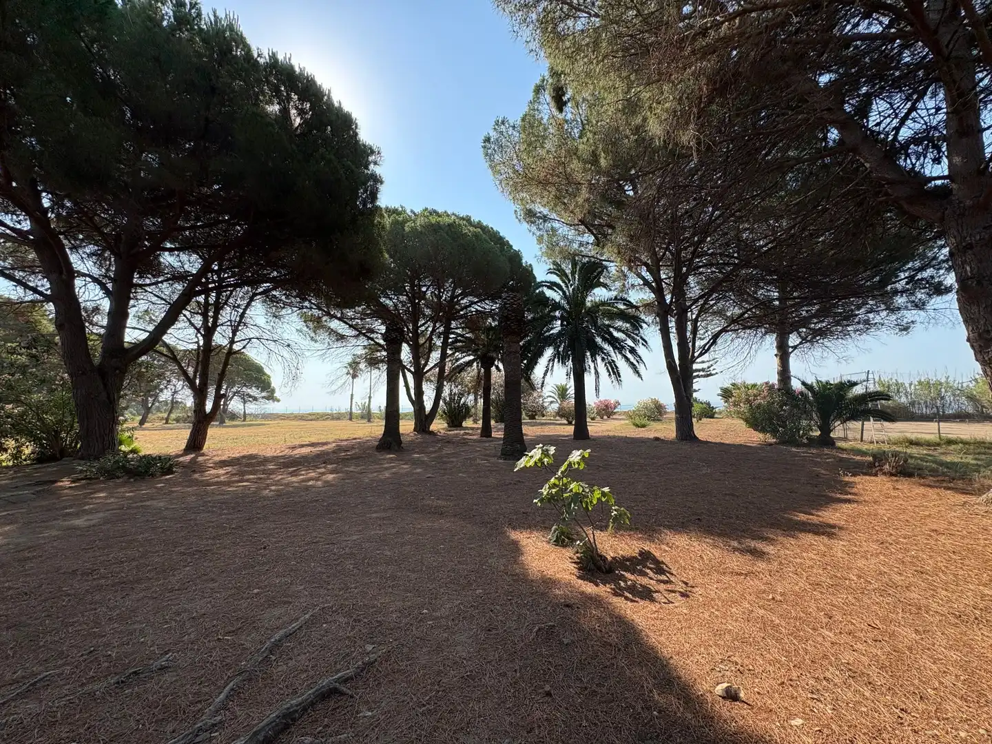 Houses for sale in Mont-roig del Camp  with Heating, Private garden and Terrace