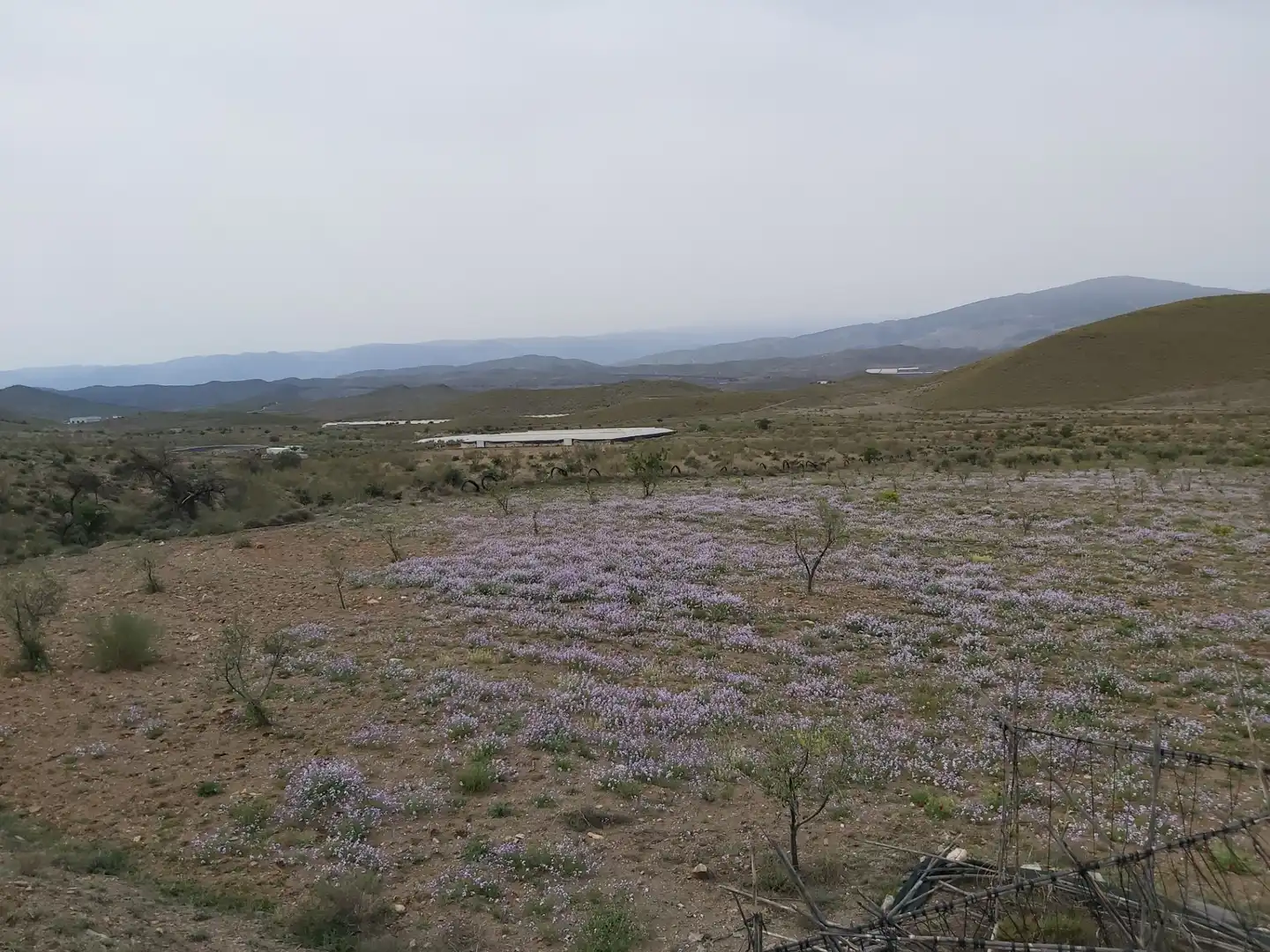 Finca rústica en venda en Gérgal amb Moblat