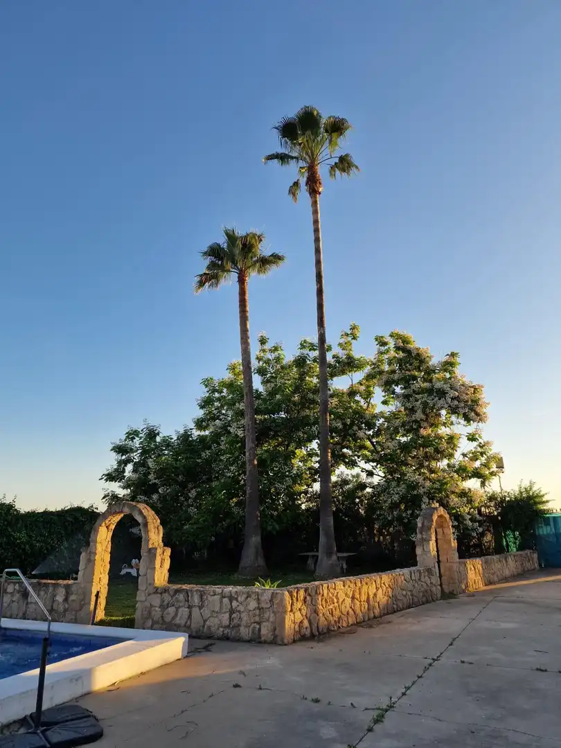 Vista exterior de Casa o xalet en venda en Córdoba amb Aire condicionat, Calefacció i Jardí privat