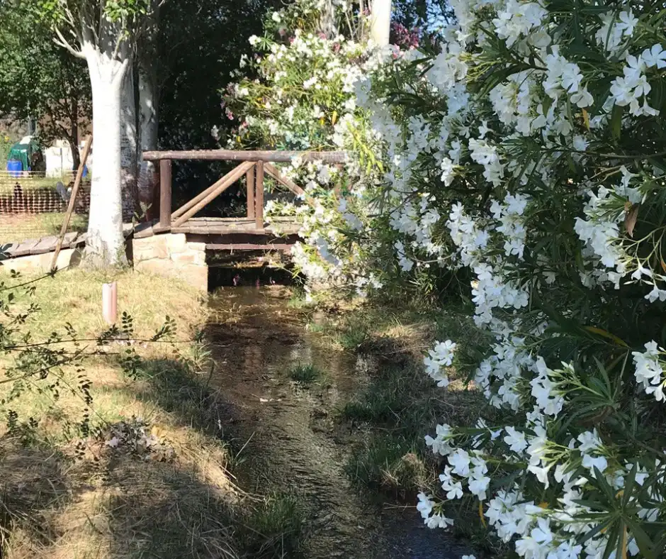 Jardí de Finca rústica en venda en Belvís de Monroy amb Aire condicionat, Jardí privat i Piscina