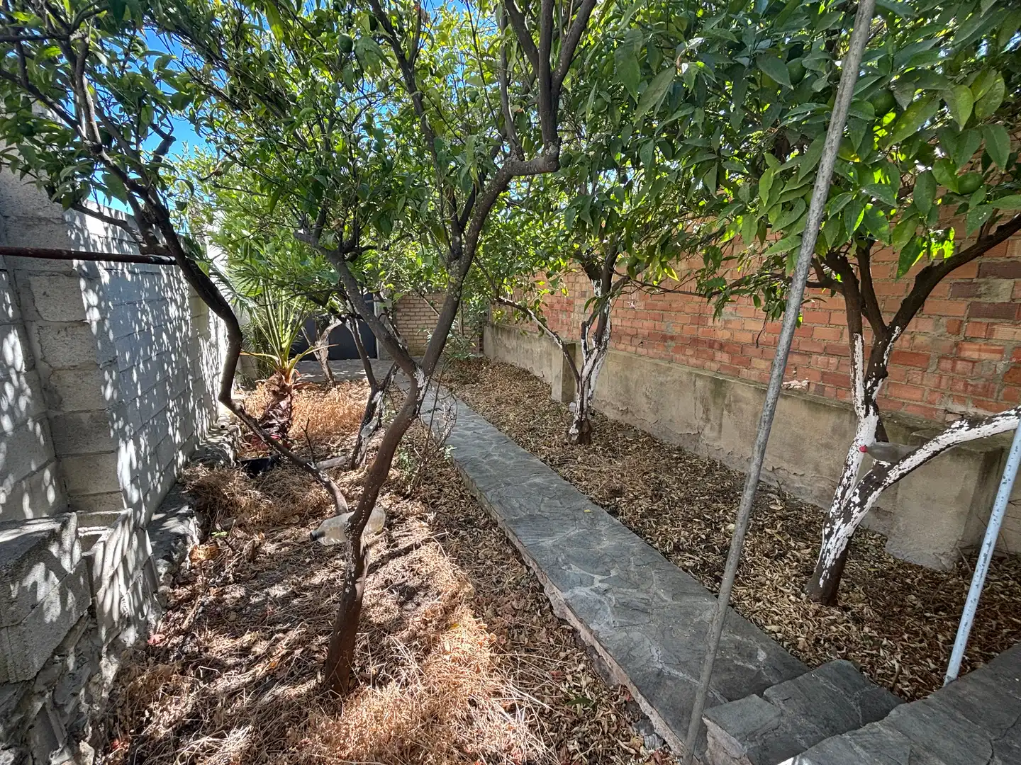 House for sale in Calle Francisco Salto, imagen 19
