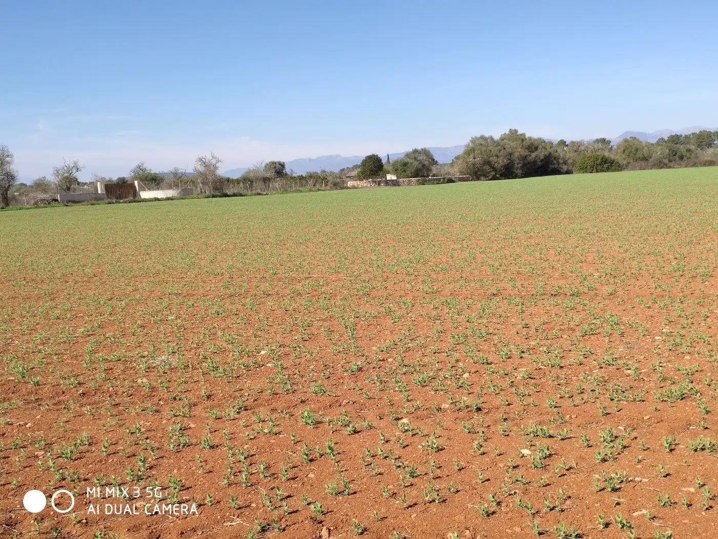 Terrain résidentiel à vendre à Algaida, imagen 8