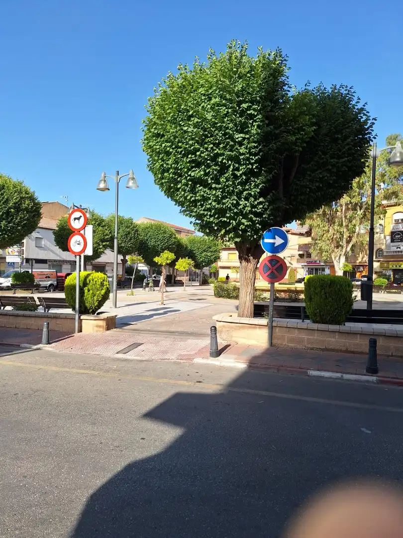 Business premises to rent in Plaza Plaza de España, imagen 25