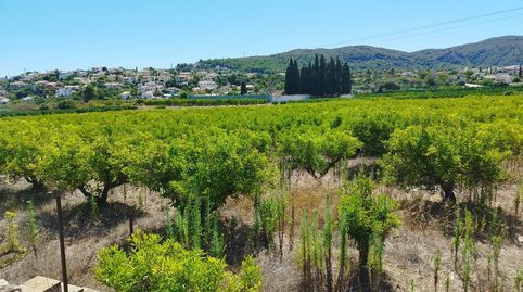 PARCELA GRANDE EN ORBA ALICANTE, imatge 3