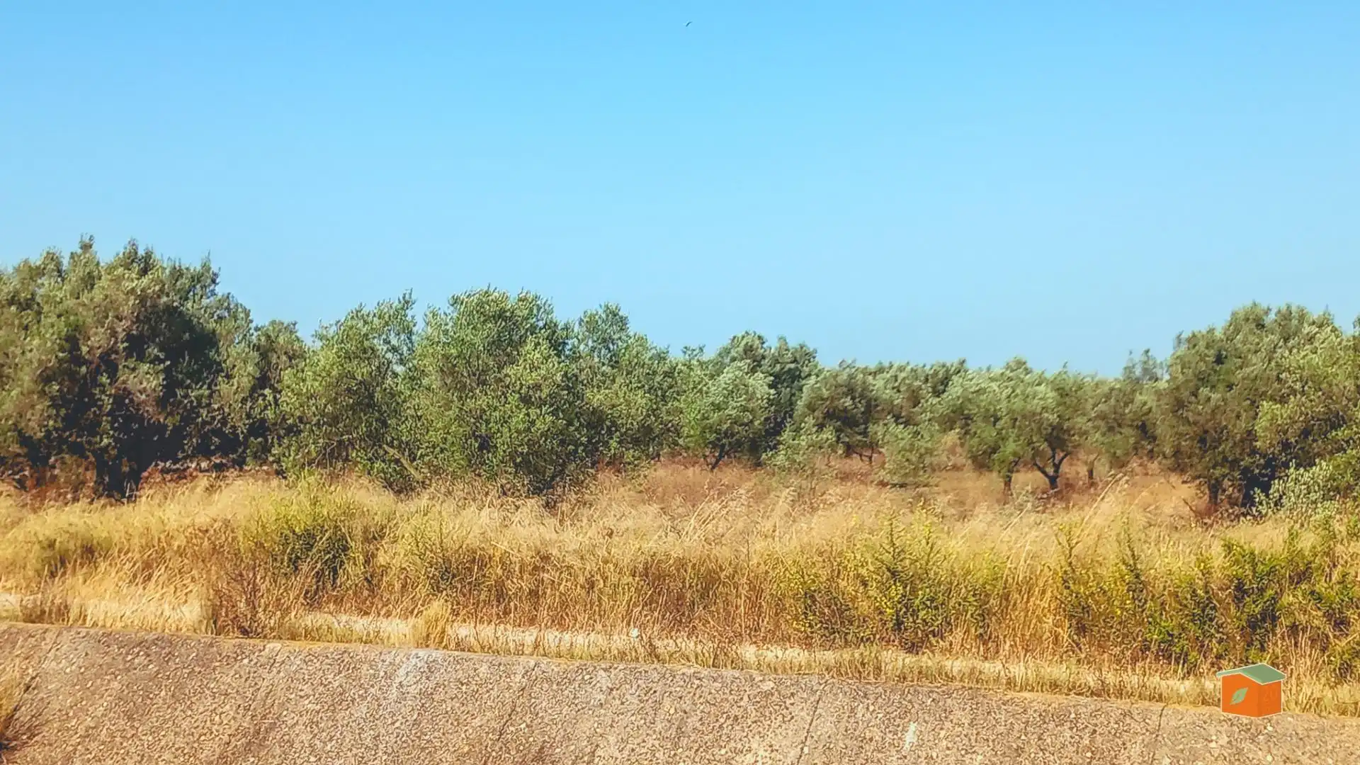 Terreno rustico in vendita a La Galera, imagen 2