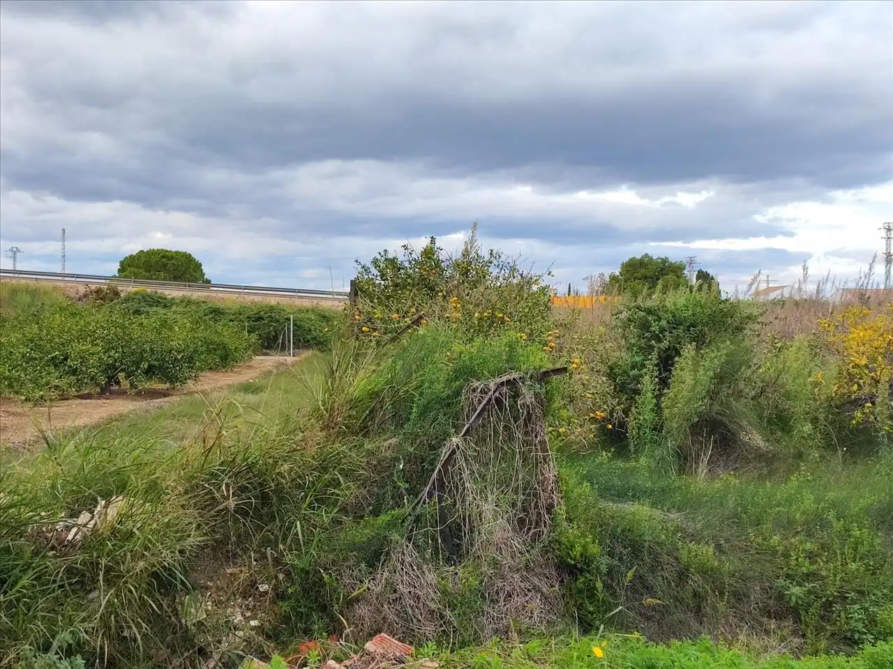 Rural land for sale in Polígono Número 40, Sueca, Spain, imagen 7