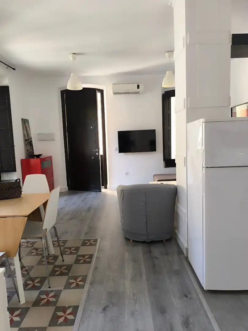Living room of Apartments for rent in Granada  with Air Conditioner, Heating and Furnished