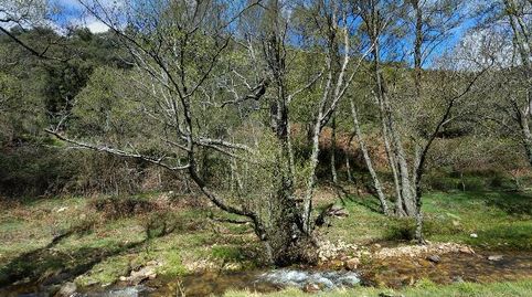 Foto 4 de Pis en venda a Bano,, Fuencaliente, Ciudad Real