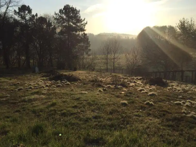 Lands and plots for sale in Couso, imagen 3