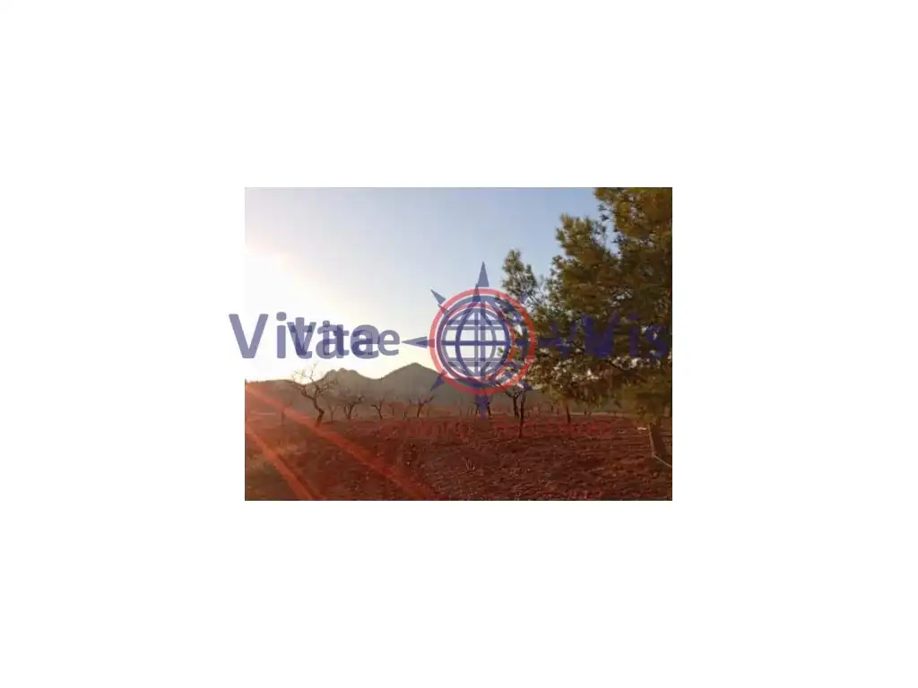 Residential land for sale in Travesia Fuensanta 01, imagen 5