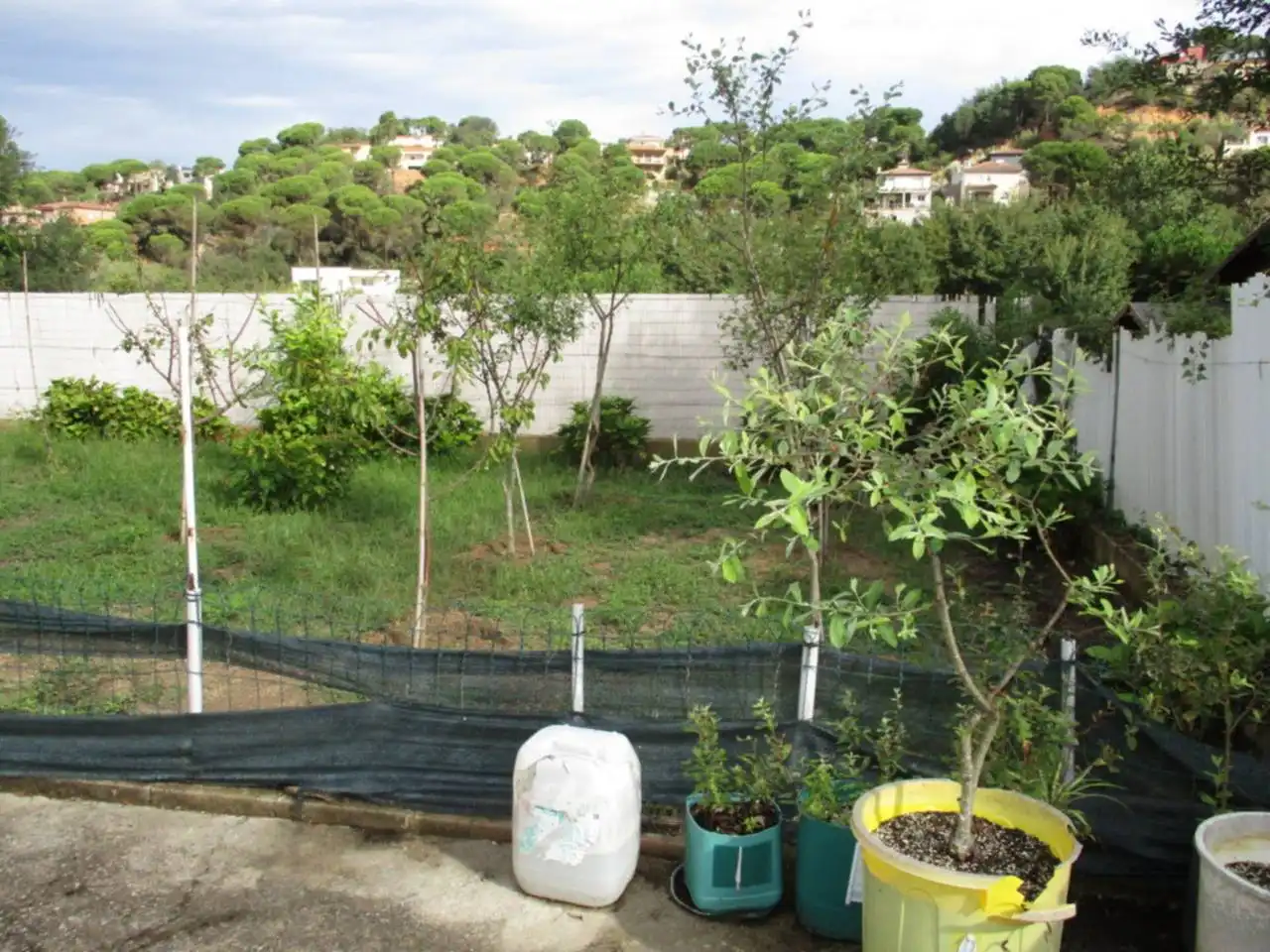 House with garden for sale in Calle saturn,, imagen 25
