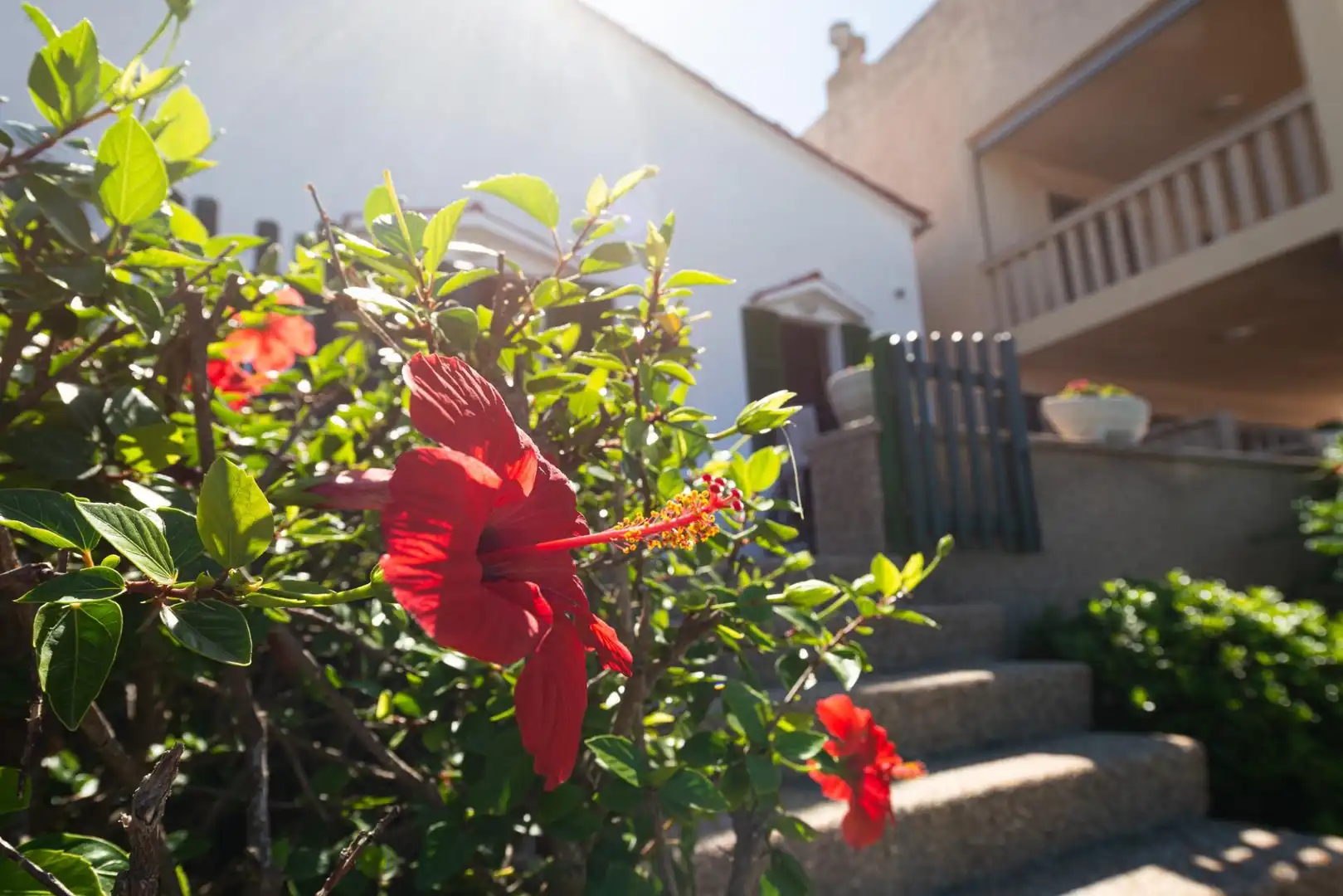 Jardí de Casa o xalet de lloguer en Alcúdia amb Aire condicionat, Terrassa i Moblat