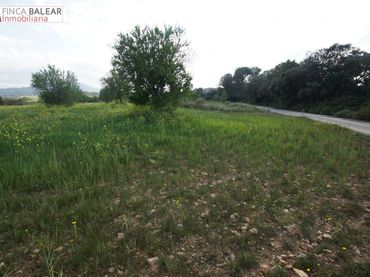 Terreno rústico en venta en Algaida