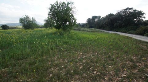 FINCA RUSTICA UBICADA EN ALGAIDA CON PROYECTO Y LICENCIA CADUCADA PARA EDIFICAR UNA VIVIENDA EN PL