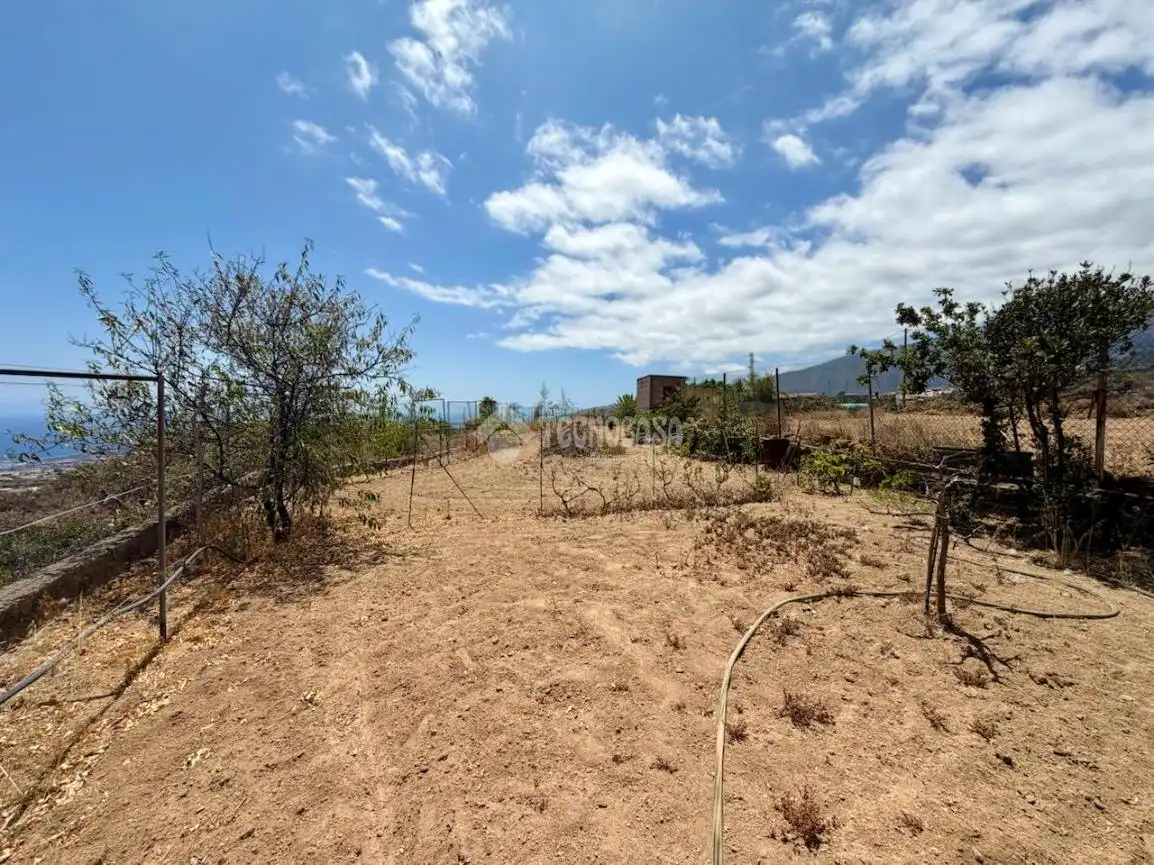 Finca rústica en venta en Arafo