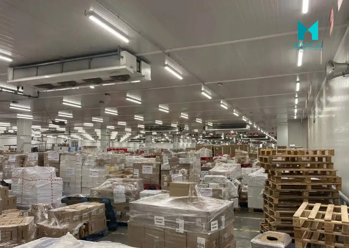 Nave industrielle à vendre à Guardia Civil - Zona industrial, imagen 4