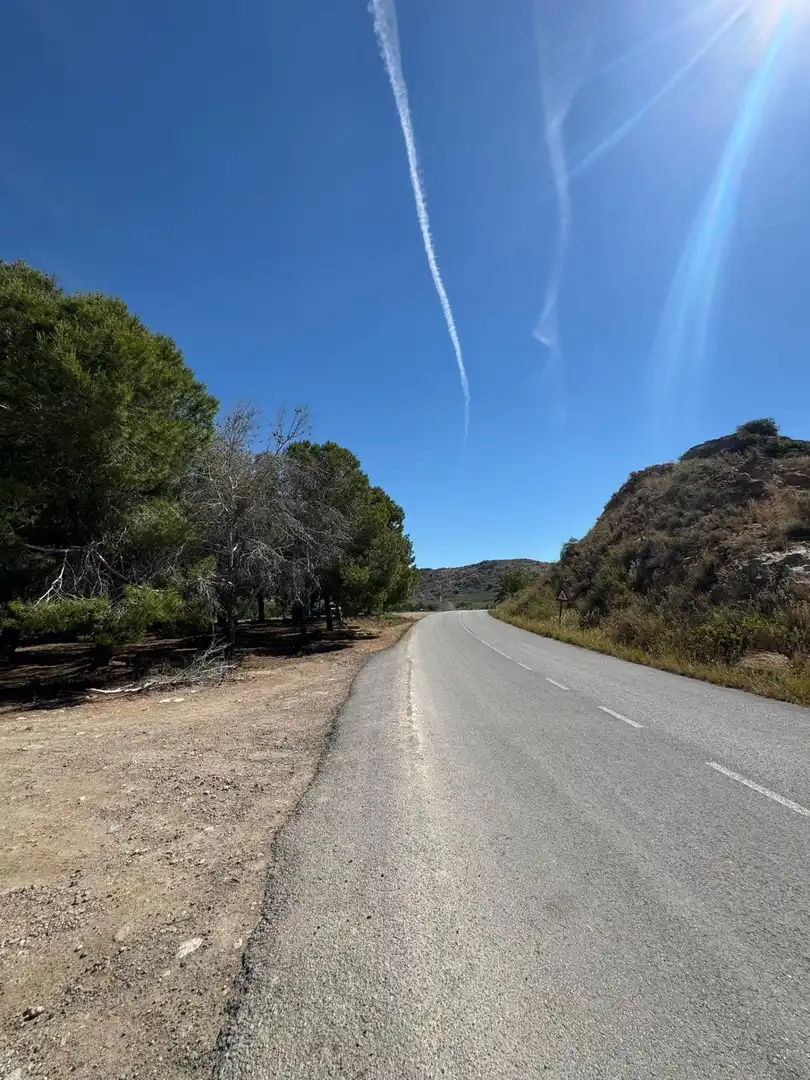 Vista exterior de Finca rústica en venta en Cox con Jardín privado