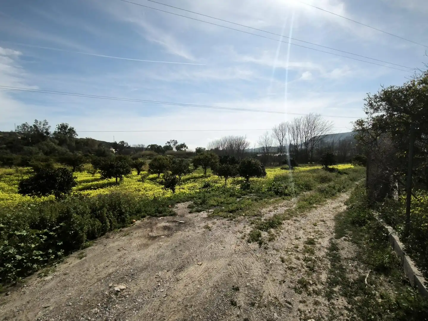Lands and plots for sale in Gádor, imagen 20