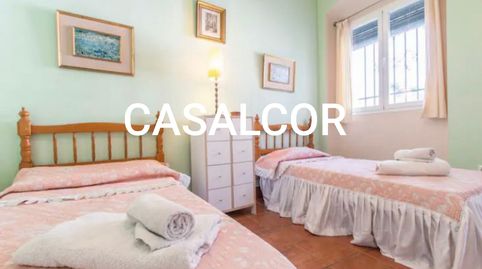 Foto 3 de Casa o chalet de alquiler en Mairena del Alcor, Sevilla