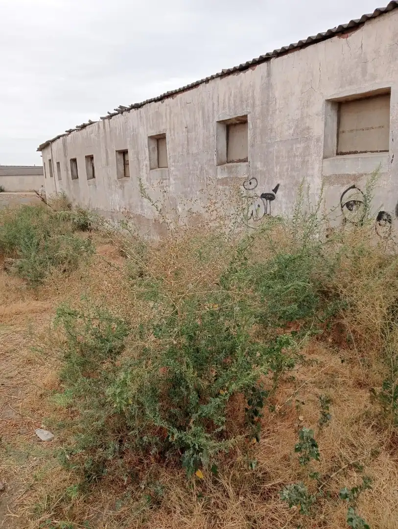 Industrial buildings for sale in Magán, Toledo