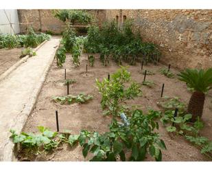 Jardí de Casa o xalet en venda en Benicarló amb Terrassa