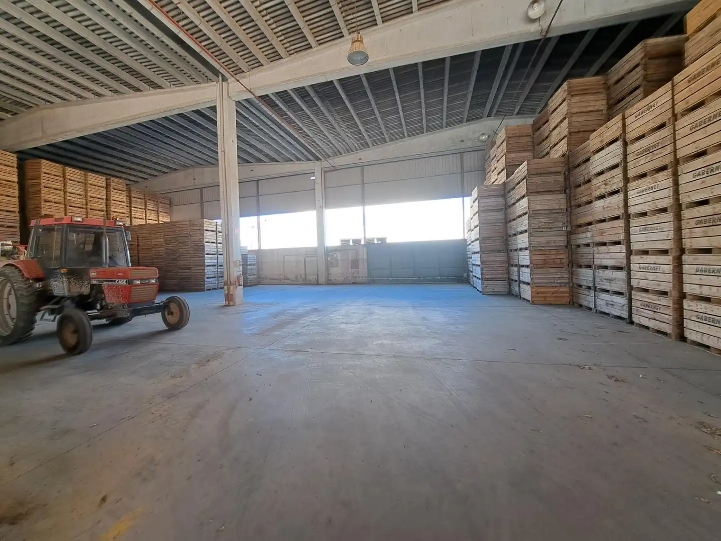 Industrial buildings for sale in Mollerussa