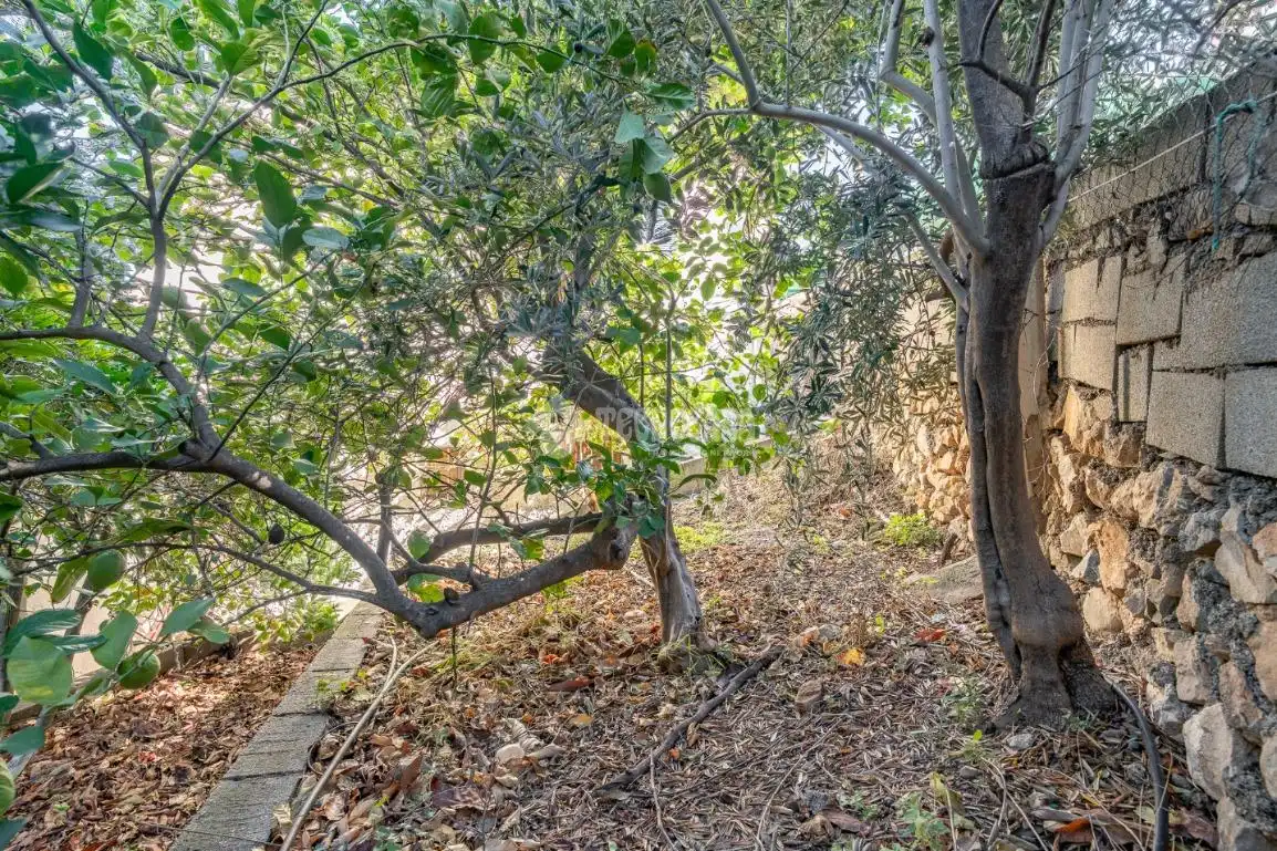 Casa amb jardí en venda a El Pinar, imagen 31