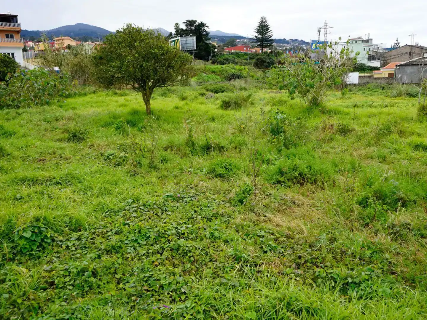 Industrial land for sale in Tacoronte