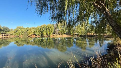 Photo 4 of House or chalet for sale in El Perchel, Ciudad Real