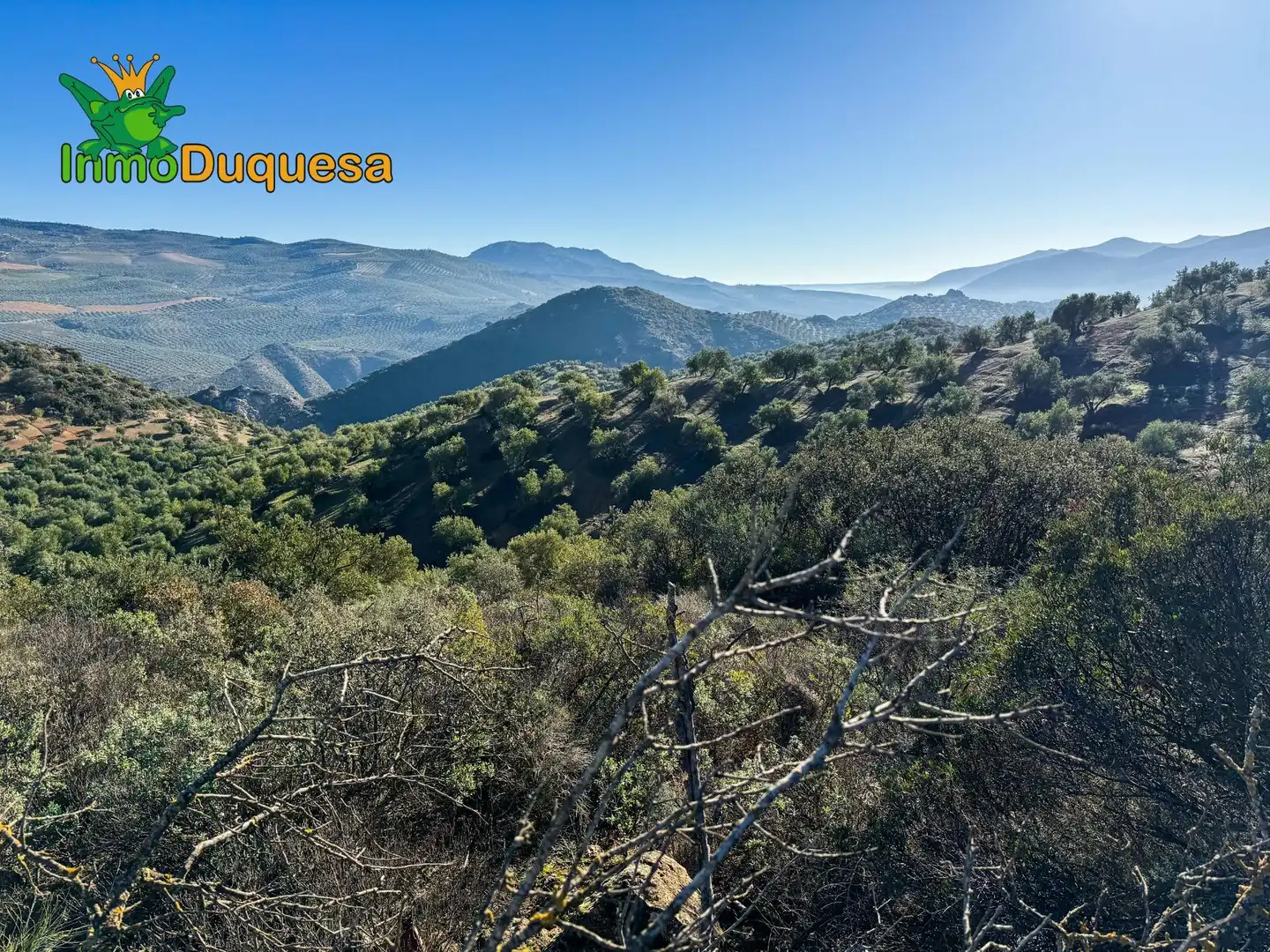 Casa rústica en venda a Camino Polígono 3 Parcela 51 MORA. LOJA (GRANADA) 3, imagen 24